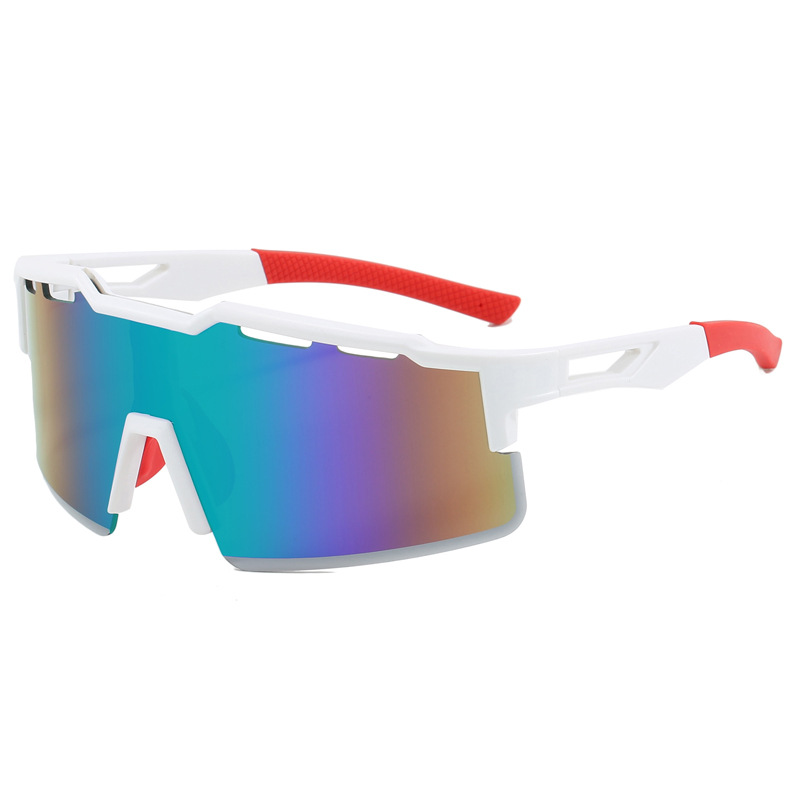 Biking Protective Sunglasses,  - Mountain Biking Essentials 评论和价格